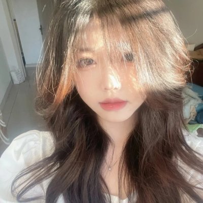 义胆骑士